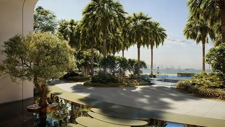 SURROUNDING AT THE EDIT C